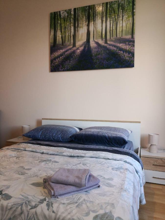 Apartman Bulevard Apartment Rijeka Ngoại thất bức ảnh